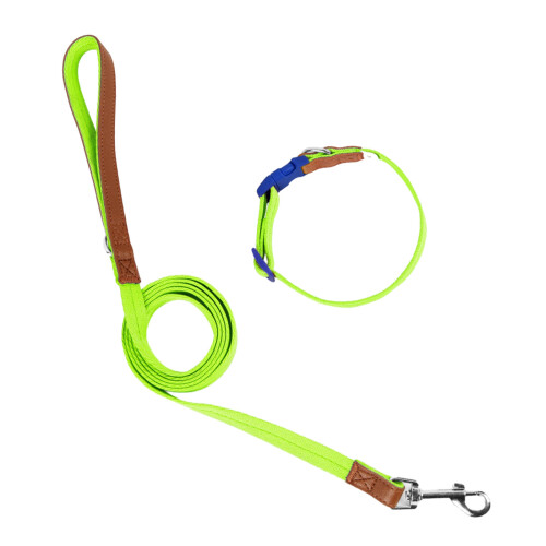 Collier solide pour animaux de compagnie, laisse longue-S Vert