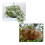 Hangings Basket Liners Wall Decorations Flower Planter-14in 5