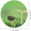 100/120Pcs  Labels Self-Adhesive  Growth Hydroponic Plant-12pcs 6
