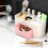 Multi-Functional Light Pink Plastic Desk Drawer Organizer 21x10x10cm 6