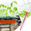 Seed Planter with Precise Depth Control, Manual Corn Seeder for Vegetables and Small Seeds 2