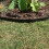 Garden Border Solution for Landscapeing Achieve Organized Look 6