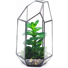 Micro paisaje de plantas suculentas, terrario pentagonal geométrico para estante o alféizar de ventana, decoración de mesa interior de vidrio de