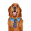 Festival Cat Collar Adjustable Dogs Formal Collar Kitten-S 3