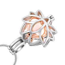 Médaillon de cendres de fleurs pendentifs en cristal-or rose