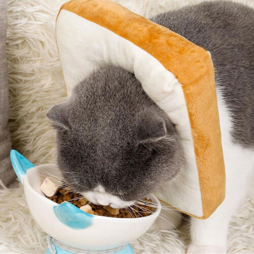 Pet Recovery Cone Collar Toast Shaped Adjustable Recovery-S 2