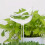 Self-Watering Ball Bird Shape Watering Globes Drippers-5pcs 7