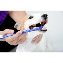Doppelkopf-Zahnbürste für die Zahnhygiene von Hunden, professionelles Pflegezubehör mit flexiblen Borsten für Hunde, Katzen und die meisten