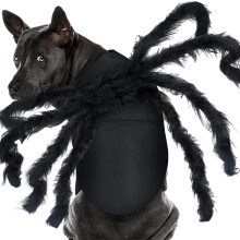 Lustiges Spinnentier-Kostüm für Hunde,-L