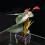 Fishtanks Planter Cup Holder Hanging Aquarium Planter Support 5