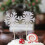 Διακοσμητικά για Cupcakes με Χιονονιφάδα από Χάρτινο Γκλόστερ, Διακοσμητικά για Cupcakes 7