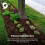 60L Wood Bark Chippings Soft Mulch Garden 3