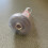 Swimming Pool Accessory Jets Nozzle Leakproof Nozzle Pool Inlet 5