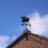 Metal Wind Direction Light Rooster Shaped Iron- flying pigs 4