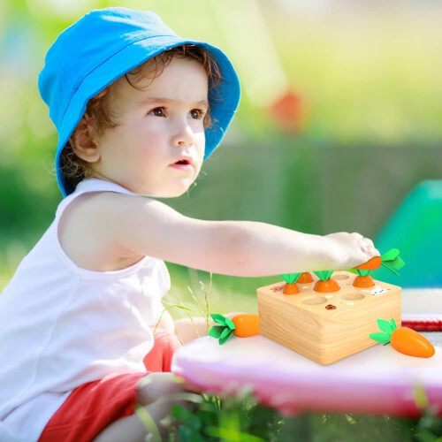 Εκπαιδευτικό παιχνίδι Montessori με ταξινόμηση σχημάτων, αναπτυξιακό παιχνίδι με