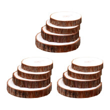 Pack of 12 Natural Texture Wood Slices for Home Decoration Art