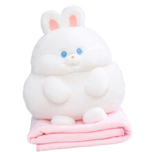 Cartoon Capybara Hamster Cushion Blanket Combo-little white