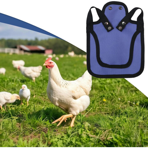 Chicken Saddle Hen Protector Vest for Feather Regrowth Support Adjustable Fit Purple 1