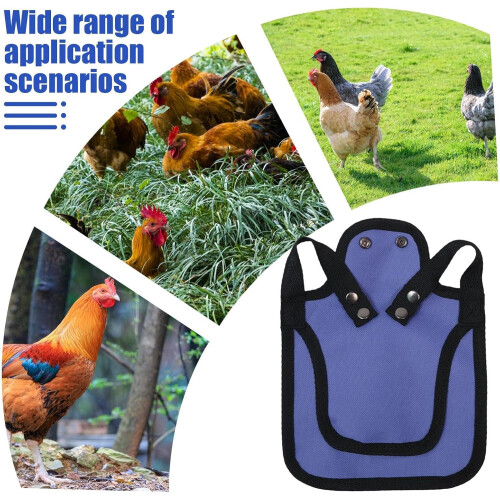 Chicken Saddle Hen Protector Vest for Feather Regrowth Support Adjustable Fit Purple 2