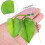 Αναβαθμίστε το ενυδρείο σας: Σετ αιώρας Betta Fish Leaf 4 τεμαχίων, ρεαλιστικά σημεία 1