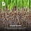 (100L) Vermiculite 0-3mm Graded Soil & Compost Amendment 4
