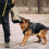 Bite Sleeve Dog Training Large Dog Bite Cover Professional Jute Bite Case 2