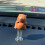 Ceramic Animal Decorative Piece with Wobble Feature-piggy 7