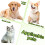 Double Dogs Leash Comfortable Nylon Walking Rope For-Black 3