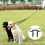 Double Dogs Leash Comfortable Nylon Walking Rope For-Black 4