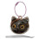 Cute pet storage  clear storage box, pet Key-Yellow eyeball 1