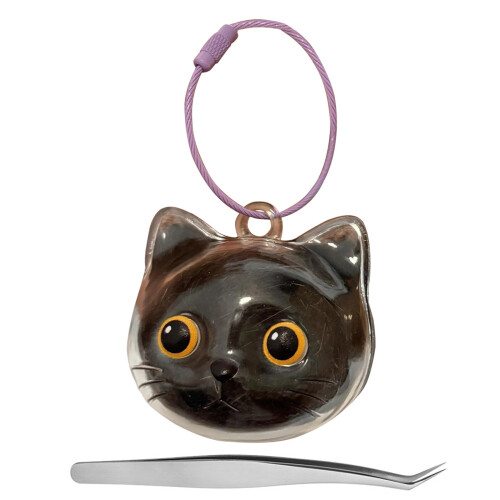 Cute pet storage  clear storage box, pet Key-Yellow eyeball