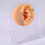 1 Set Simulation Human Body Part White Black Silicone Model with Stand 3