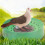 Compact & Versatile Usage Breeding Hatching Boxes, Durable & Breathable Plastic Bird Nesting Bowls For Pigeons Doves Quails Small Birds Pet Cage 5