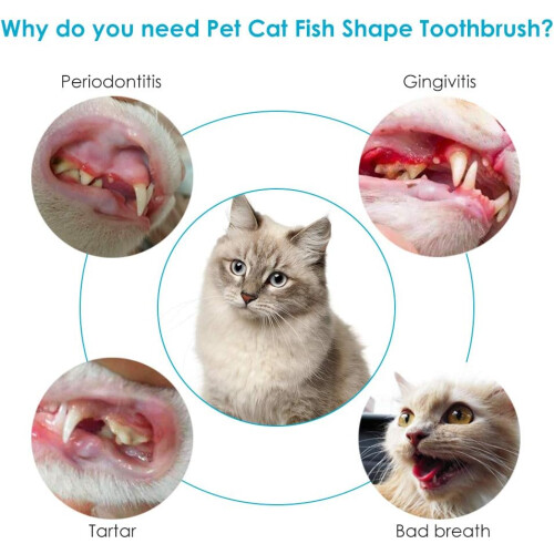 Διαδραστικό παιχνίδι Catnip, η οδοντόβουρτσα για γάτες βοηθά στην προώθηση της 2