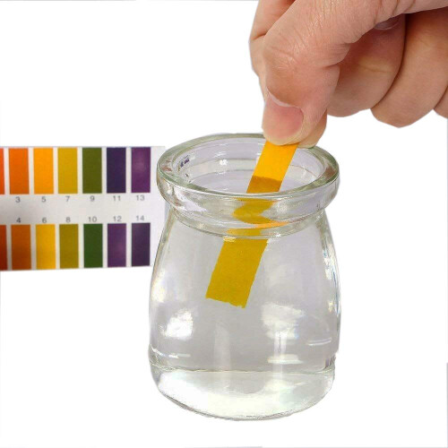 Lansonee 2 Pack pH 1-14 Test Indicator 160 Strips Litmus Paper Water Soil Testing Kit 2