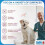 Safe4 Professional Surface Disinfectant Ready to Use - Enhanced | qual 2