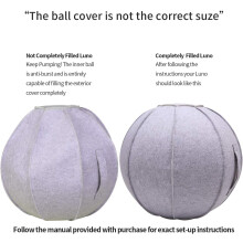 Posture Improvement & Core Strengthening: 65cm Sitting Ball Chair for Optimal Desk Height