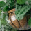 Environmentally Safe Hanging Basket Base Round Shape Plant 6