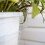 Environmentally Safe Hanging Basket Base Round Shape Plant 7