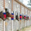 Massage and grooming horse brushes  blue 4