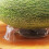 Support de fruits à Base de pastèque renforcée, Support de-S 6