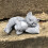 Weatherproof Kitten Memorial Sculpture Handcrafted Loving Memory 6