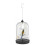 Professional Birdcage Chains 12 Unit for Flower Pots Durability 6