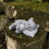 Weatherproof Kitten Memorial Sculpture Handcrafted Loving Memory 3