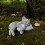 Weatherproof Kitten Memorial Sculpture Handcrafted Loving Memory 7