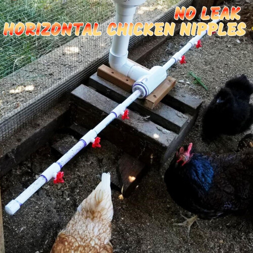 Automatic Poultry Drinker Leak-Resistant Design Simple-20 1