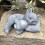 Weatherproof Kitten Memorial Sculpture Handcrafted Loving Memory 4