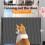 Adjustable No Drill Expandable Pet Gate For-50 cm high fence 6