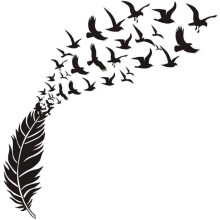Double Sided Hummingbird Window Clings for Glass Safety, Paint Stencil Pack Birds Flying Feather, Large Wall Stickers for Room Decor, Reusable Decals,