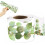 Eucalyptus Leaf Borders for Bulletin Board, DoubleSided Printed Green Border 5